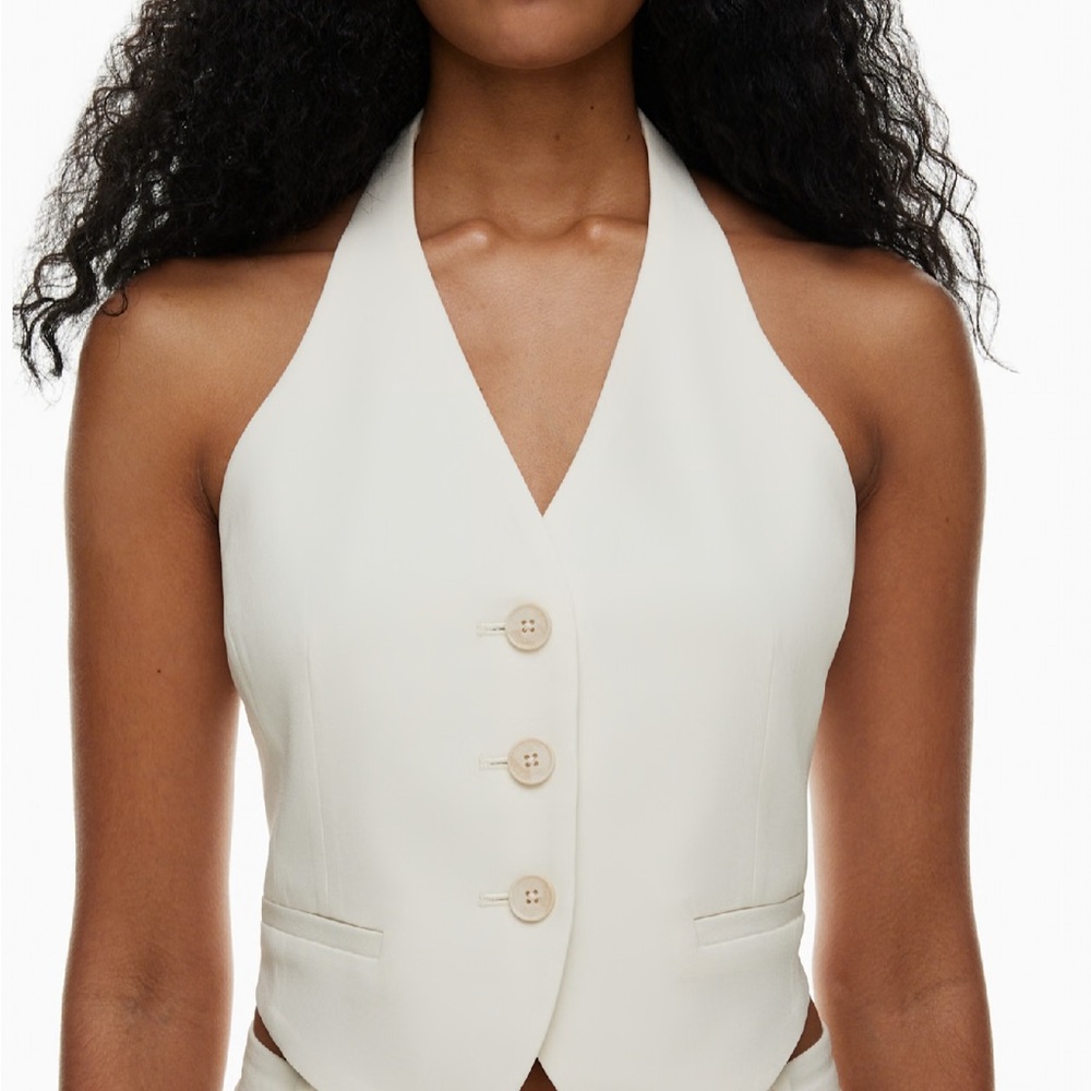 Aritzia Babaton Leading Vest in Black